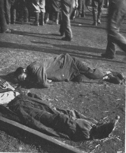 Jews shot during transport to Treblinka from Siedlce